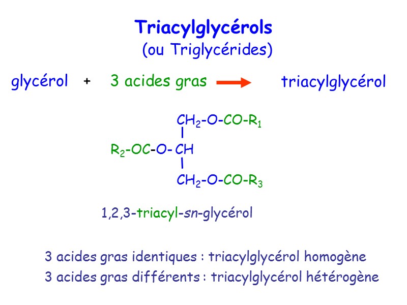 Triacylglycérols  (ou Triglycérides) 3 acides gras identiques : triacylglycérol homogène 3 acides gras